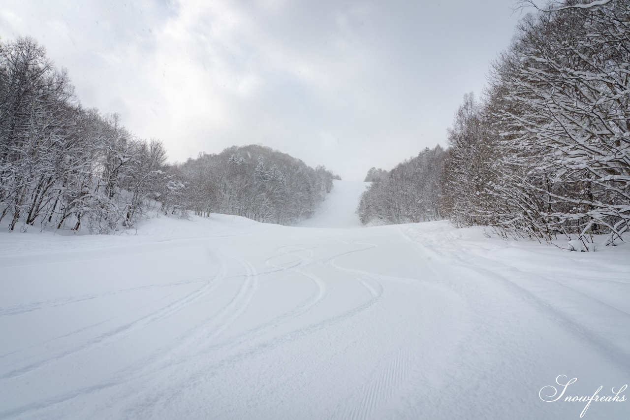 片岡嵩弥 - Takaya Kataoka - Powder Photo Session 2026 in ASARI